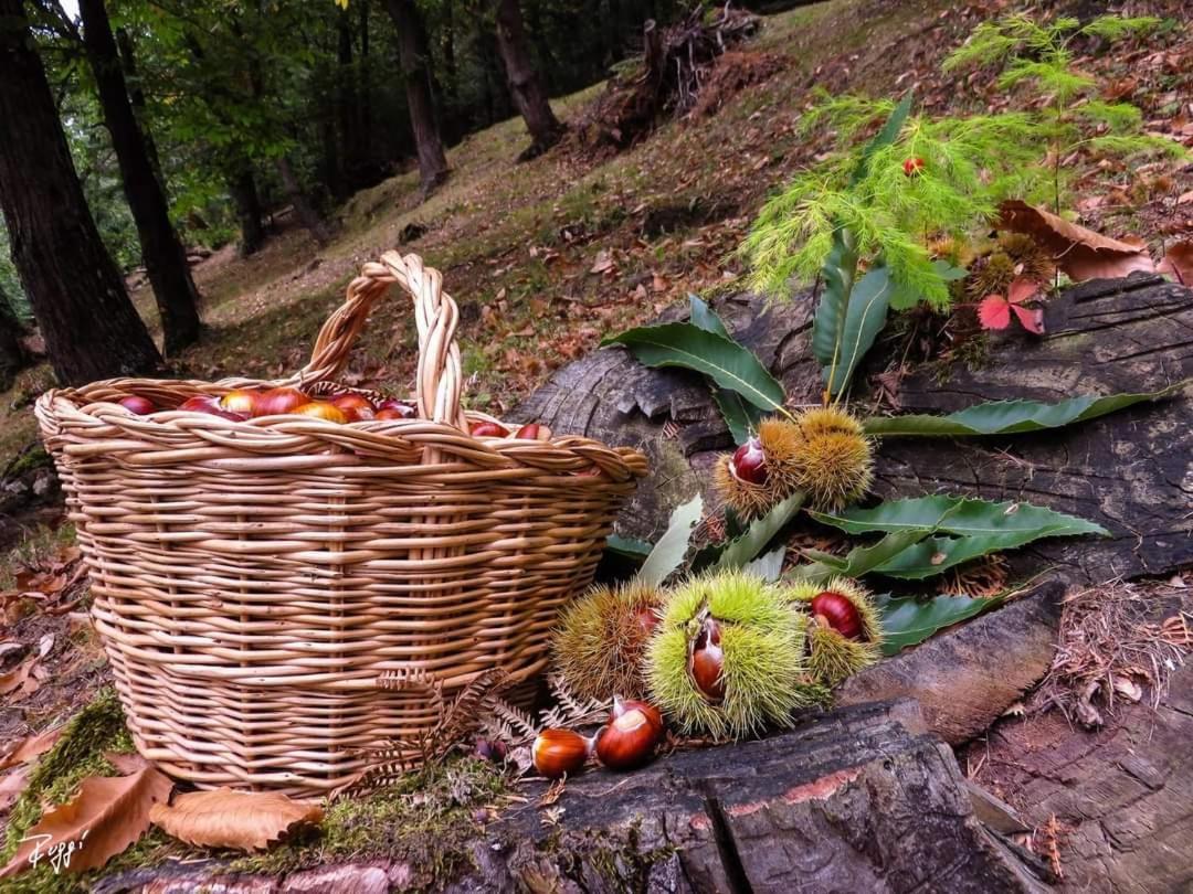 Agriturismo Prato Del Re Prignano sulla Secchia Eksteriør bilde