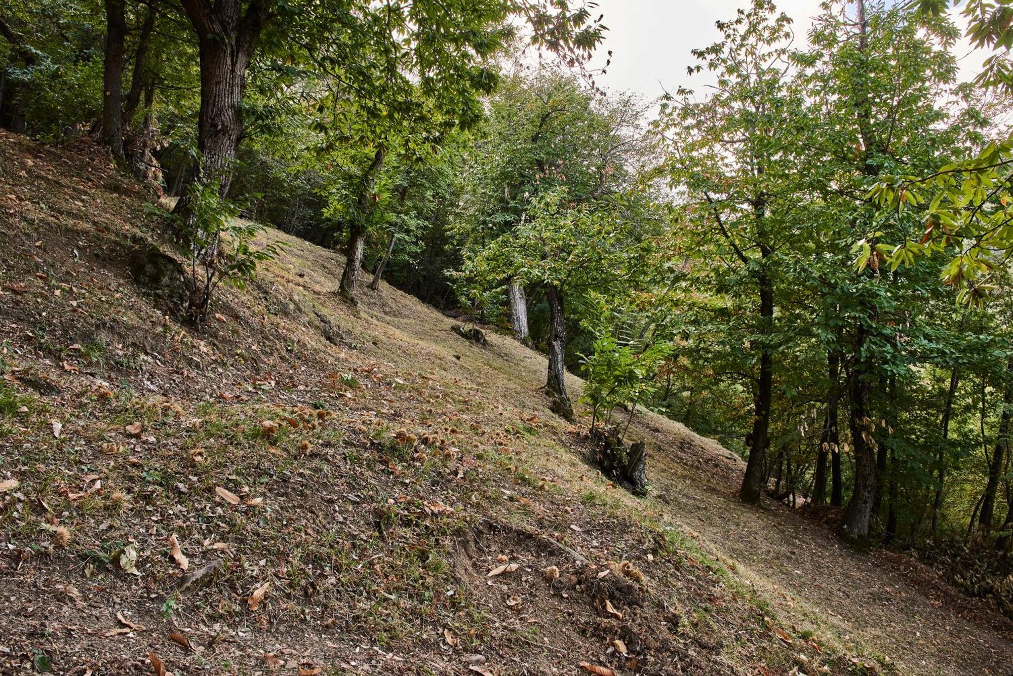 Agriturismo Prato Del Re Prignano sulla Secchia Eksteriør bilde